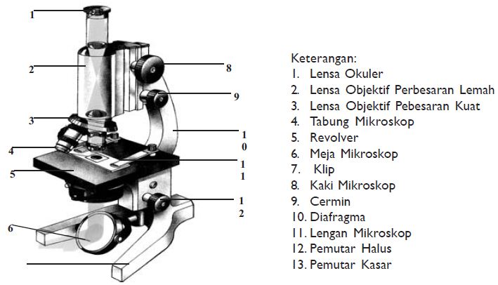 Gambar Bagian-Bagian Mikroskop Beserta Fungsinya - Atap Ilmu