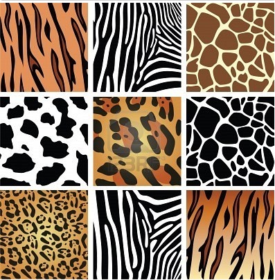 DECORAR CON CEBRA Y LEOPARDO (ANIMAL PRINT) | Decoración