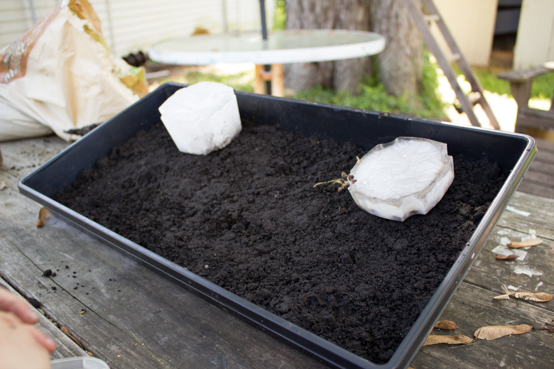 Craft Knife Homeschool Geography Make a Glacier Model