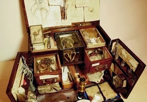 My Cabinet of Curiosities