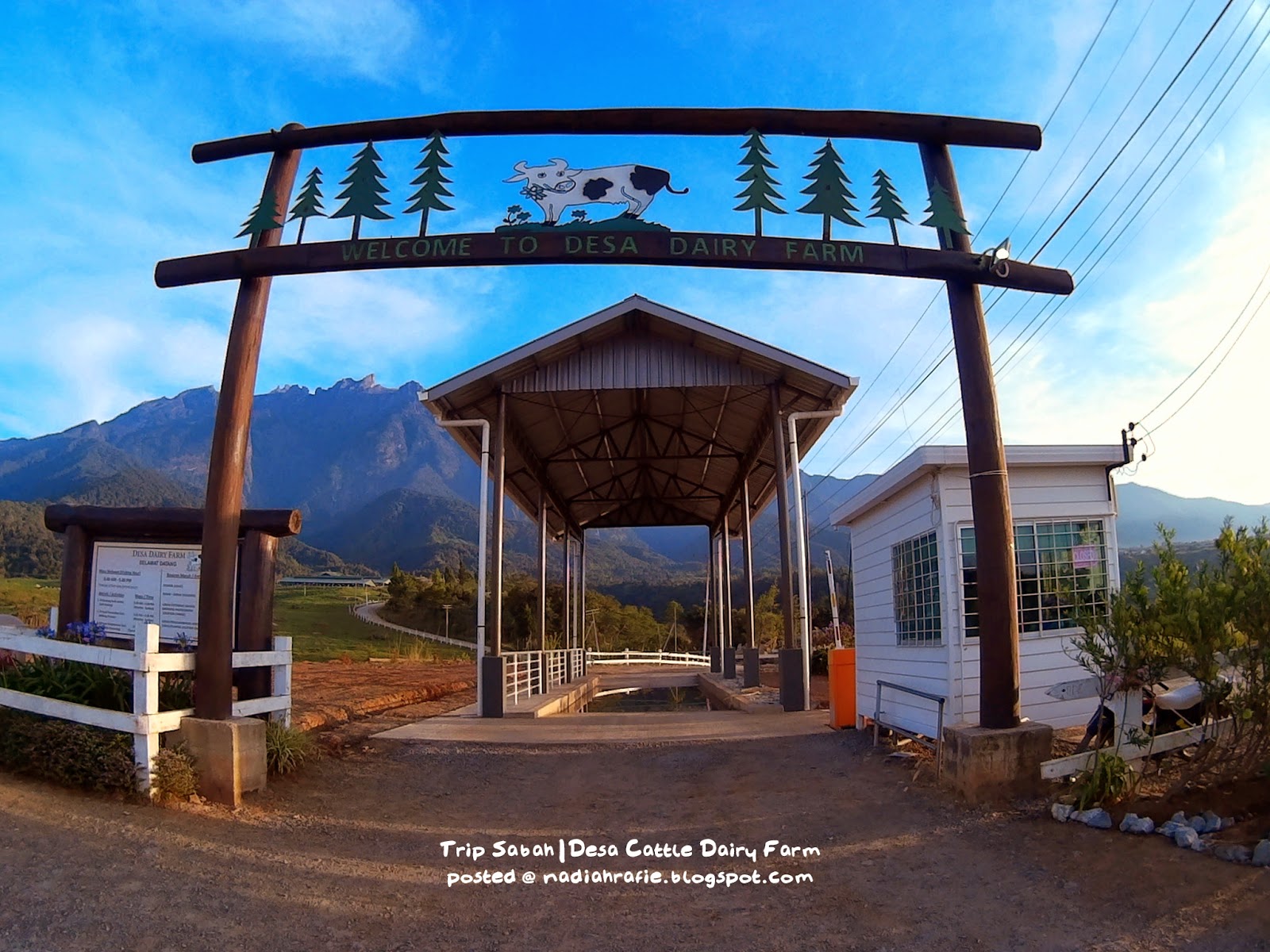 Blog Siapa Ini? Trip Sabah Desa Cattle Dairy Farm, Kundasang