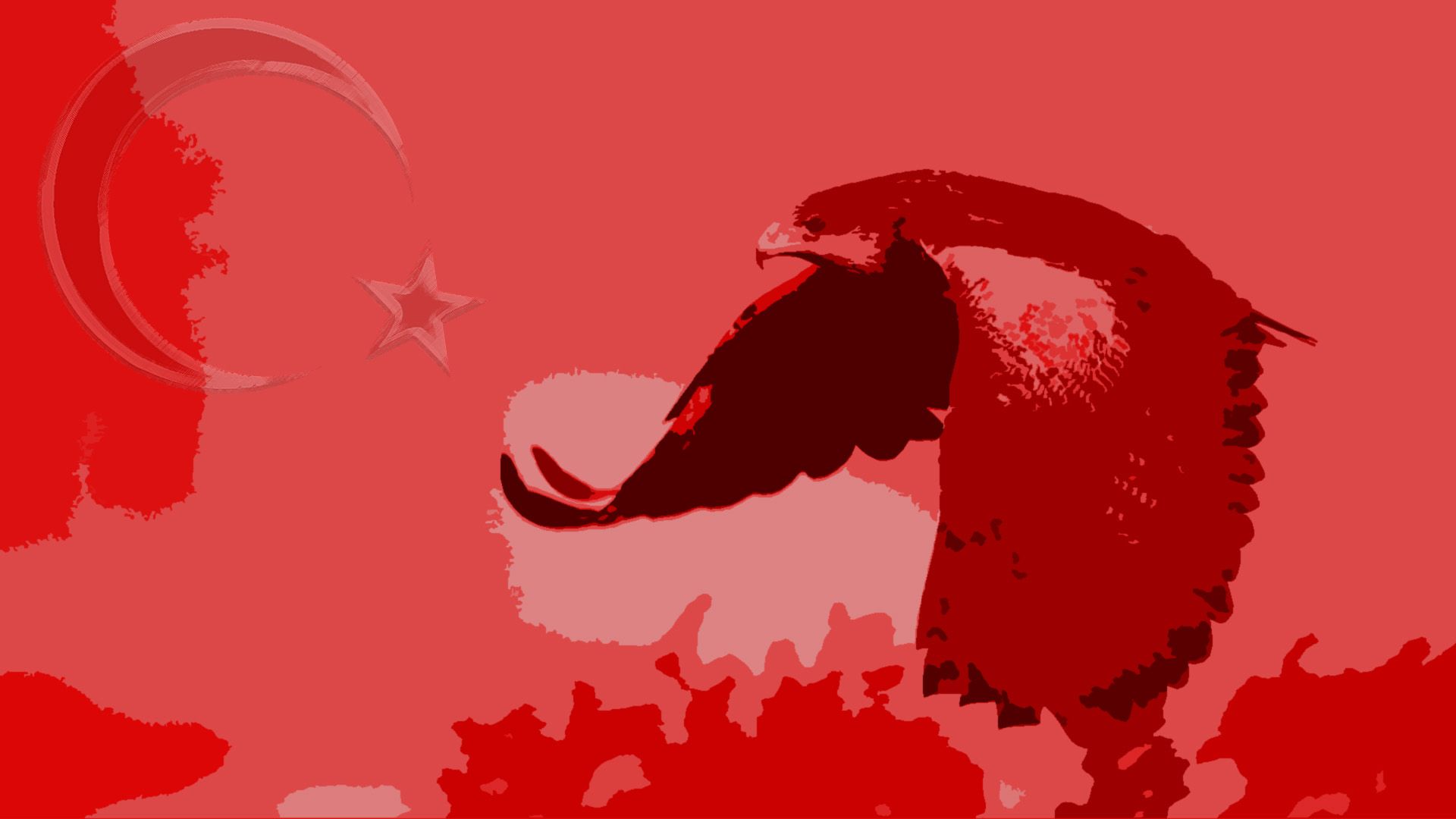 Kartal resimli turk bayraklari 1