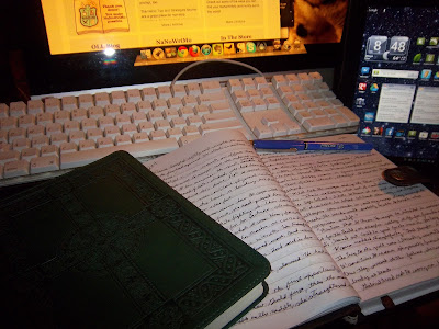 My NaNoTechnologies... Mac, Android Tablet, and good old fashioned pen and paper.
