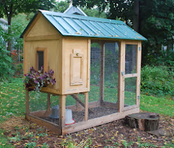 chicken coop coops designs plans build backyard chickens hen building diy own homemade gallinas para gallineros upcycled its four arbor