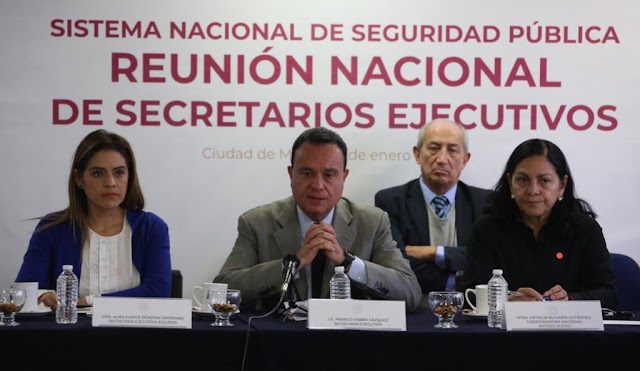 SESIONA LA PRIMERA REUNIÓN NACIONAL DE SECRETARIOS EJECUTIVOS DE LOS CONSEJOS ESTATALES DE SEGURIDAD PÚBLICA 2019