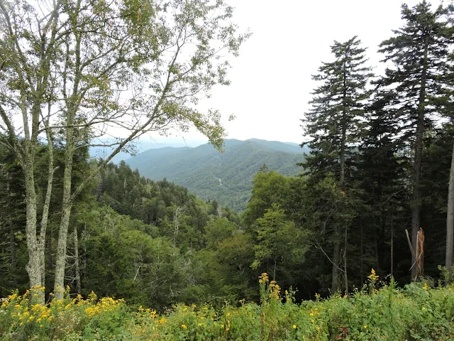 The Smoky Mountains- Revisited   via  www.productreviewmom.com