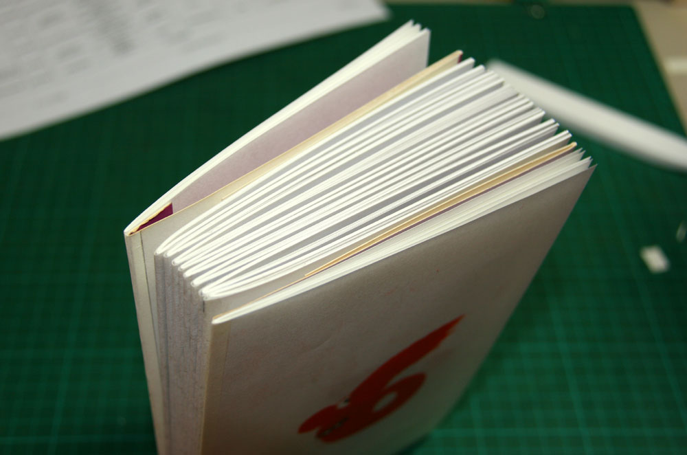 reino artesanal ONION SKIN BINDING ENCUADERNACIÓN DE PIEL DE CEBOLLA