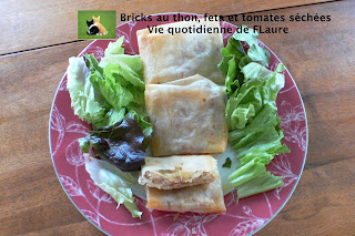 Vie quotidienne de FLaure: Bricks au thon, feta et tomates séchées