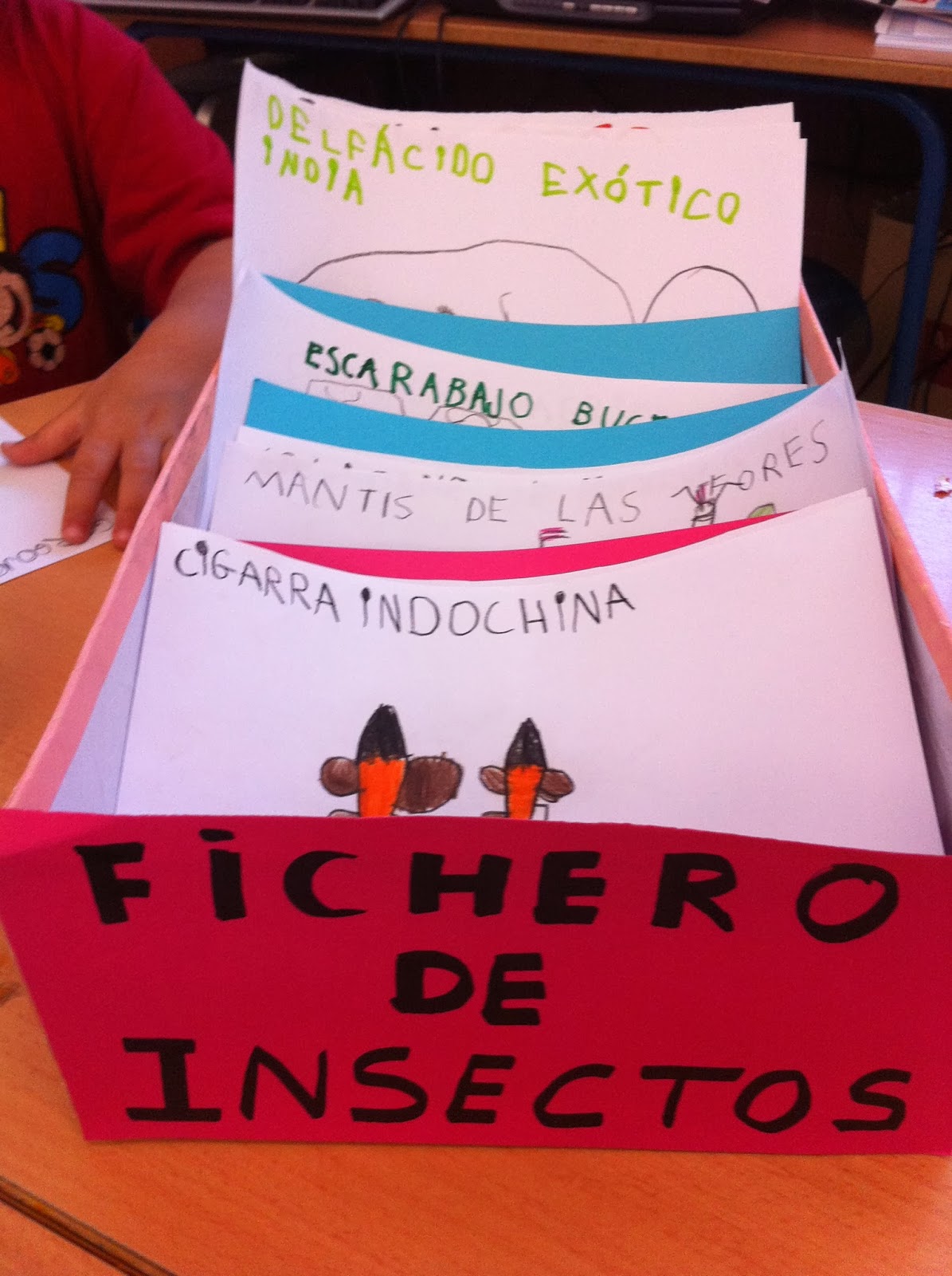 EL SUEÑO DE SER FICHERO DE INSECTOS