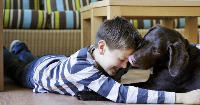 Center Parcs Pack und Go Urlaub mit Hund