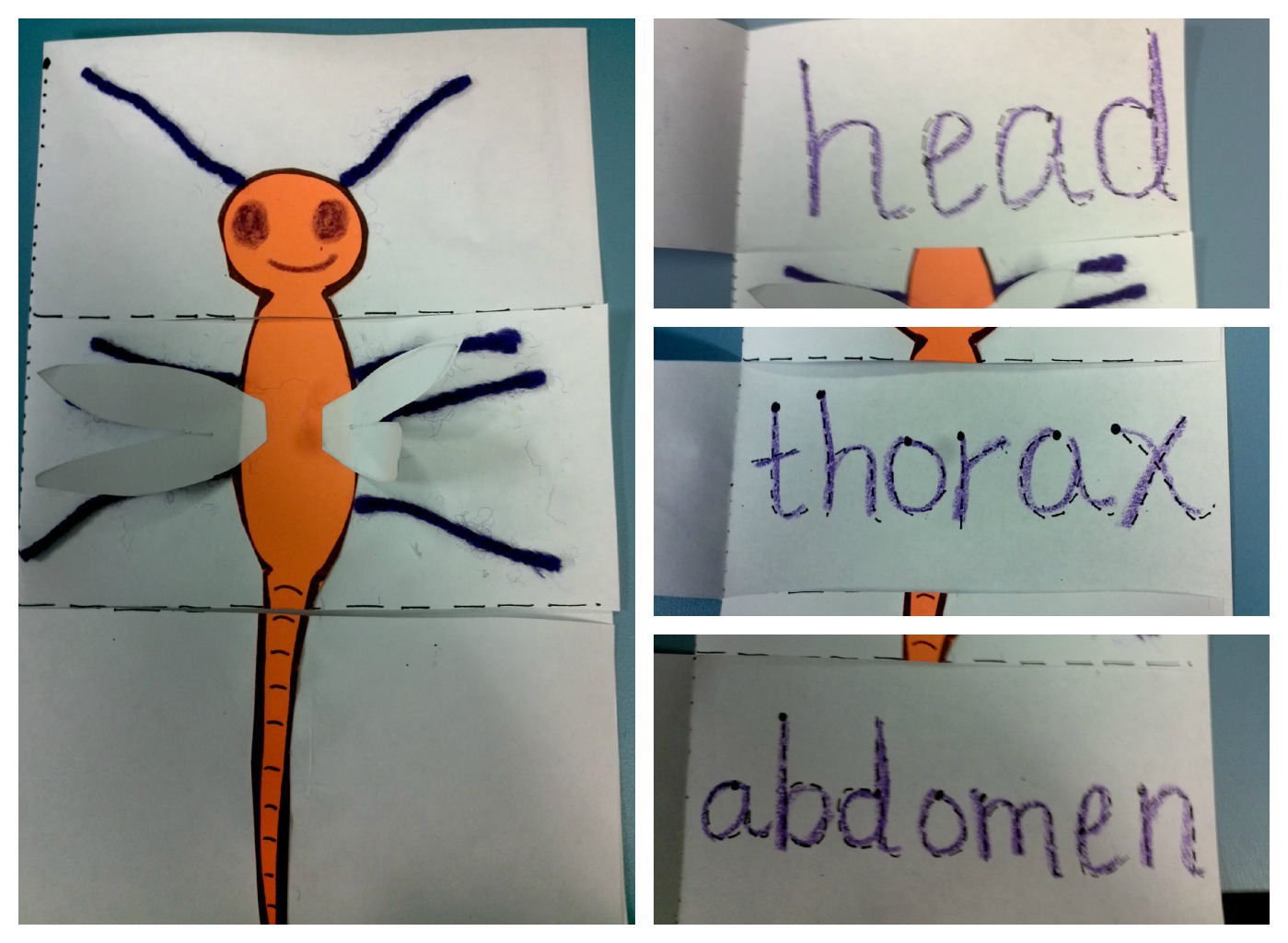 The Green Grass Grew All Around: Studying Insects with Pre-K and