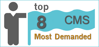 Top 8 CMS Development