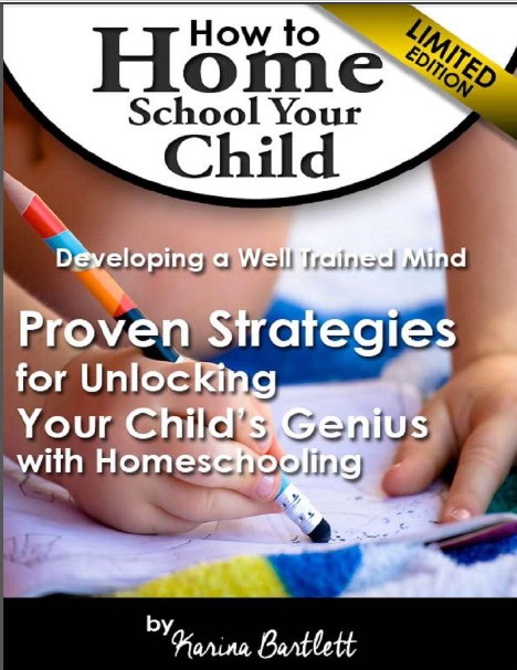   How to Home School Your Child