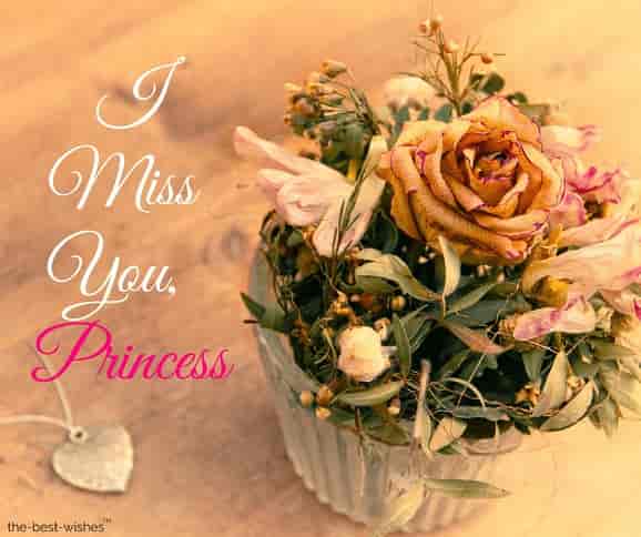 i-miss-you-my-princess i miss you my princess