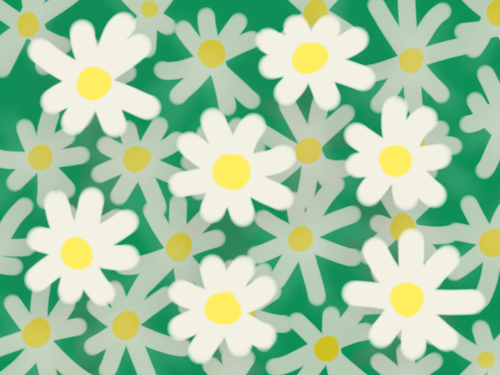 マーガレットの花畑