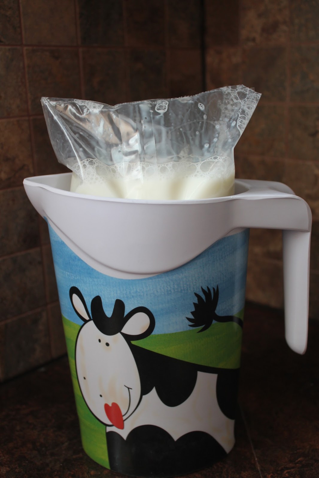 A Little Bit of Everything: Yes, We Drink Milk in a Bag!