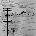 What is Drum Notation? by Steve Benedetto