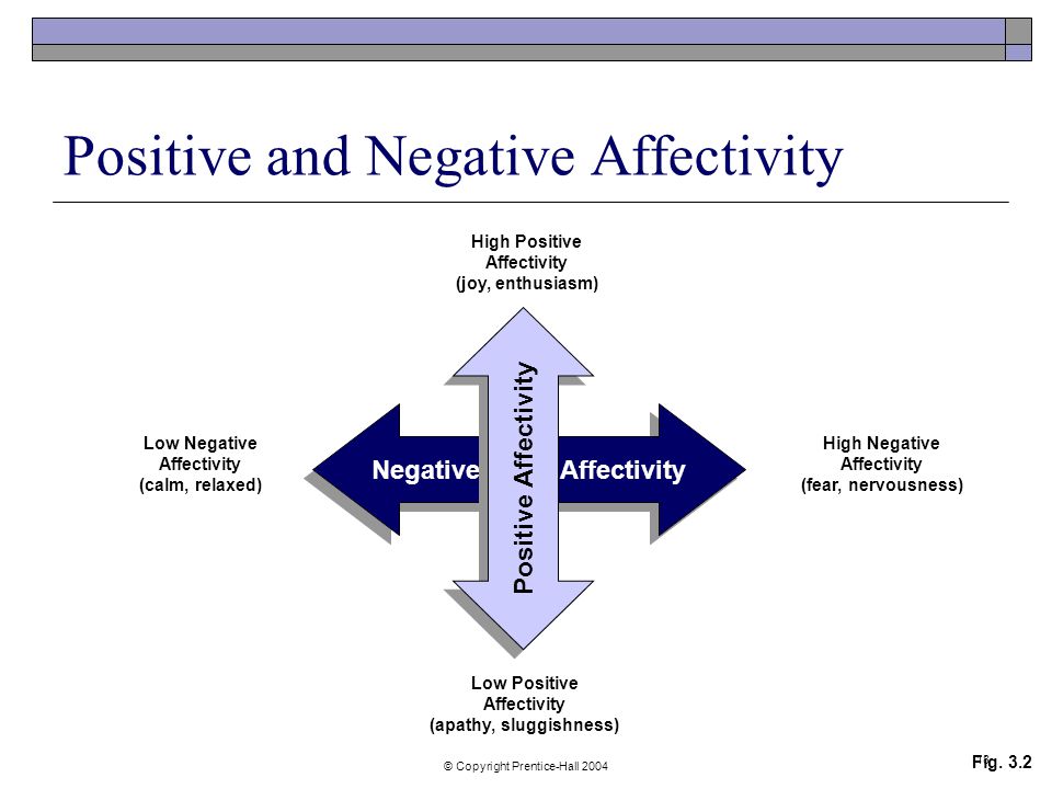 negative and positive effect negative and positive effect
