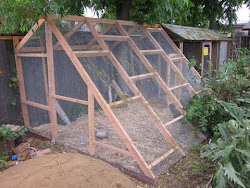 sketchup homesteading urban chicken google chickens run coop simple tool coops place pen runs homestead building amazing hens garage diy