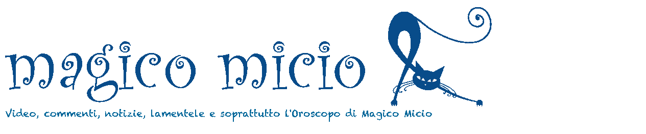 Magico Micio