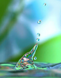 water drops drop portrait droplets droplet geethasanjeev posted am
