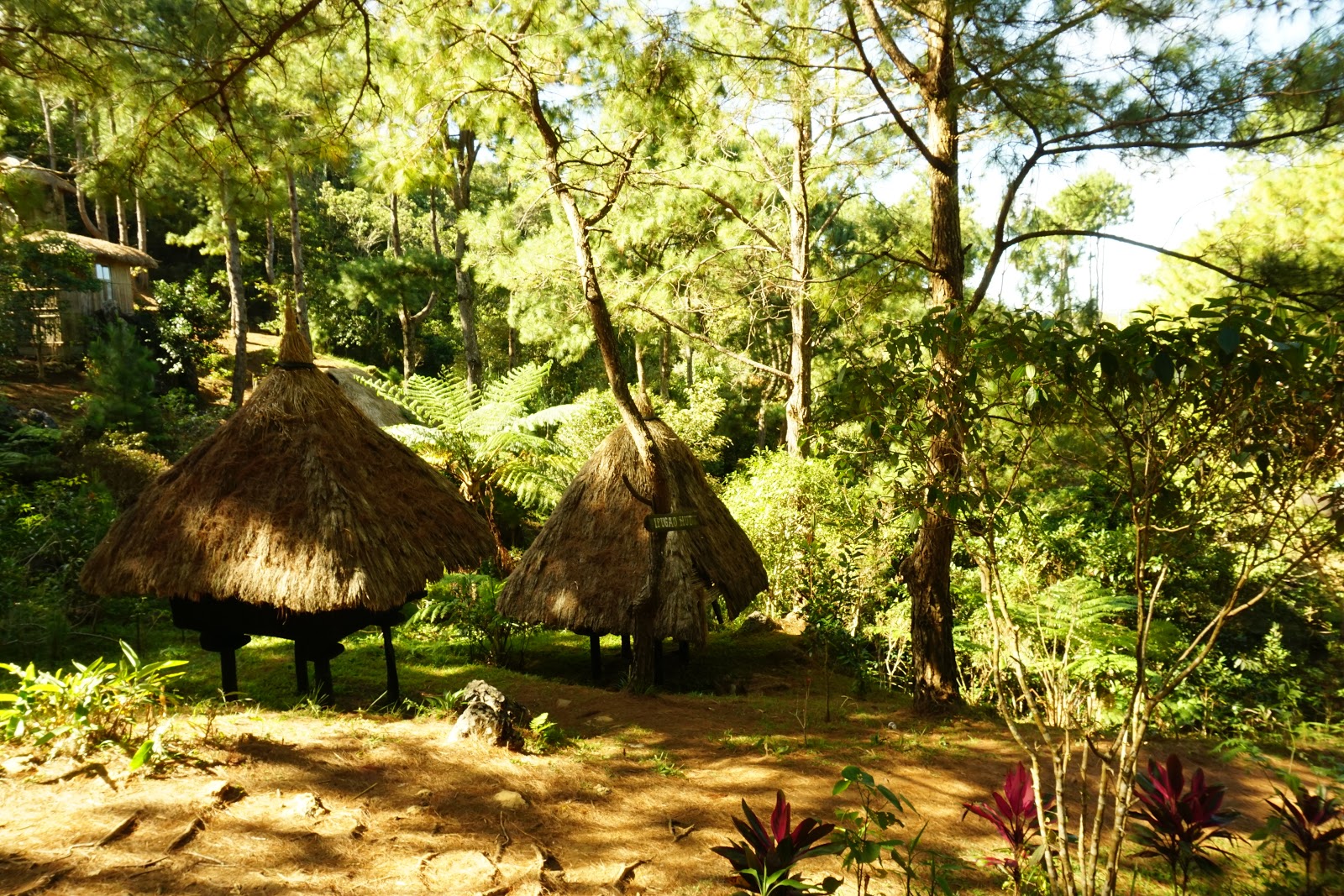 Baguio City, Mount Kalugong and that little coffee shop on top of a