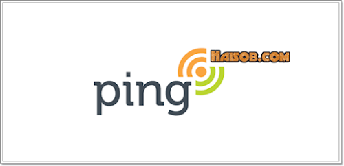 Cara melakukan Ping Blog agar cepat terindex Google Cara melakukan Ping Blog agar cepat terindex Google