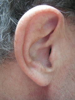 Tinnitus bei Depression Tinnitus und Depressionen