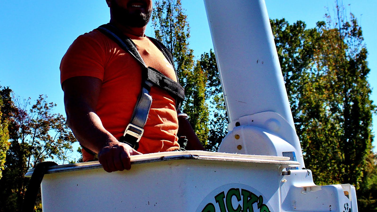 Davey Tree Expert Company Tree Choices