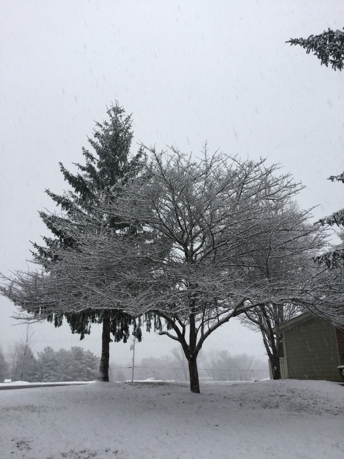 Burl's Weather Page The first day of spring in Bloomington, Indiana.