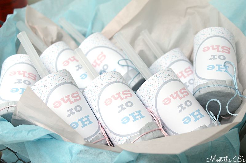 Easy DIY Gender Reveal Confetti Poppers The Inspired Hive