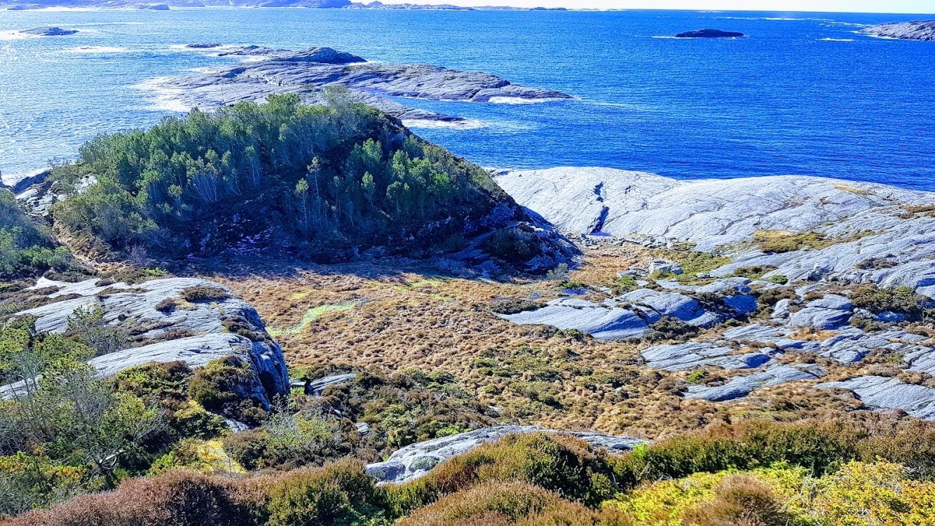 Viking Spirit of Norway Roald Atle Furre