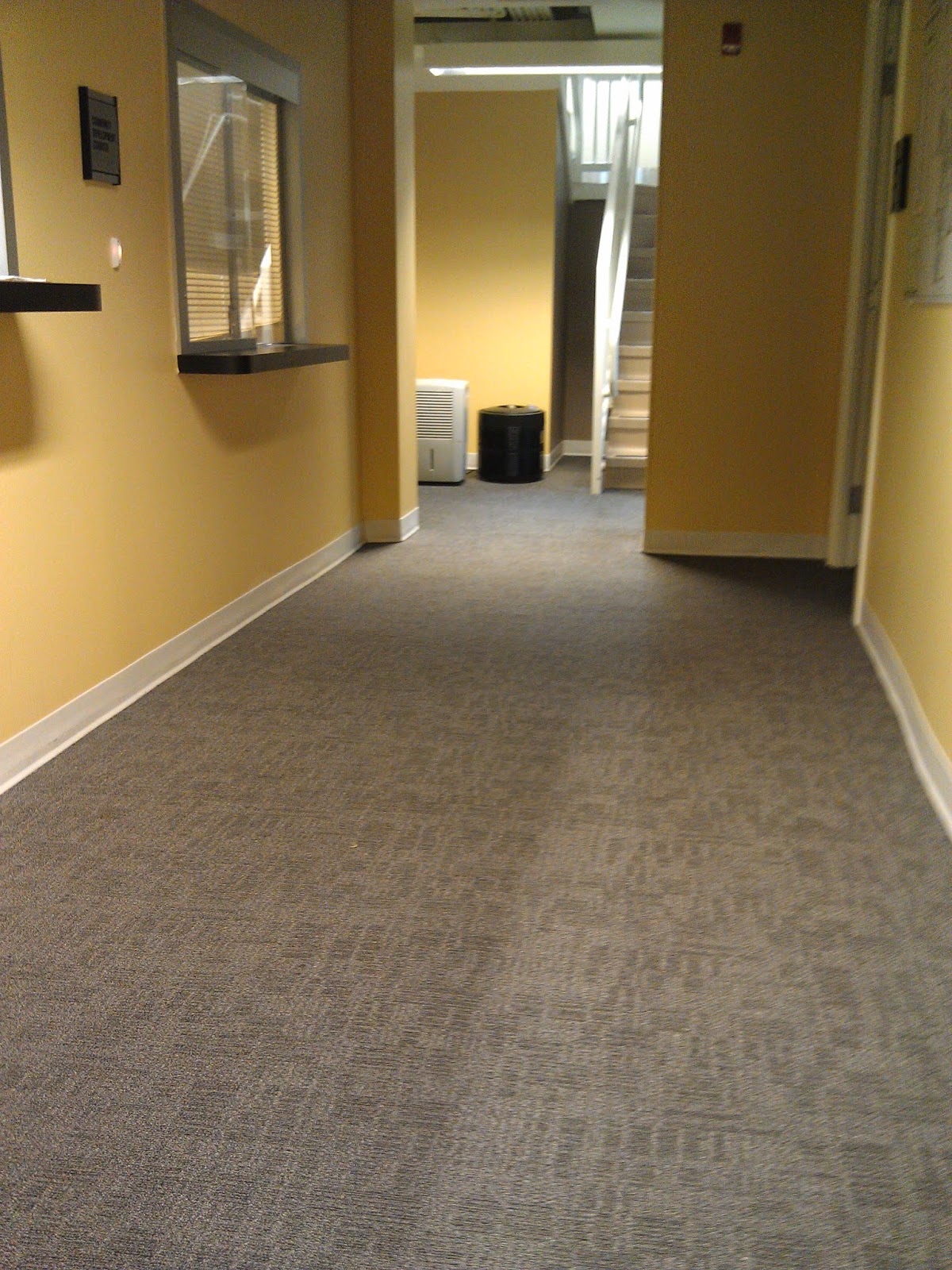 Small Town Matters Purcellville Voice to the New