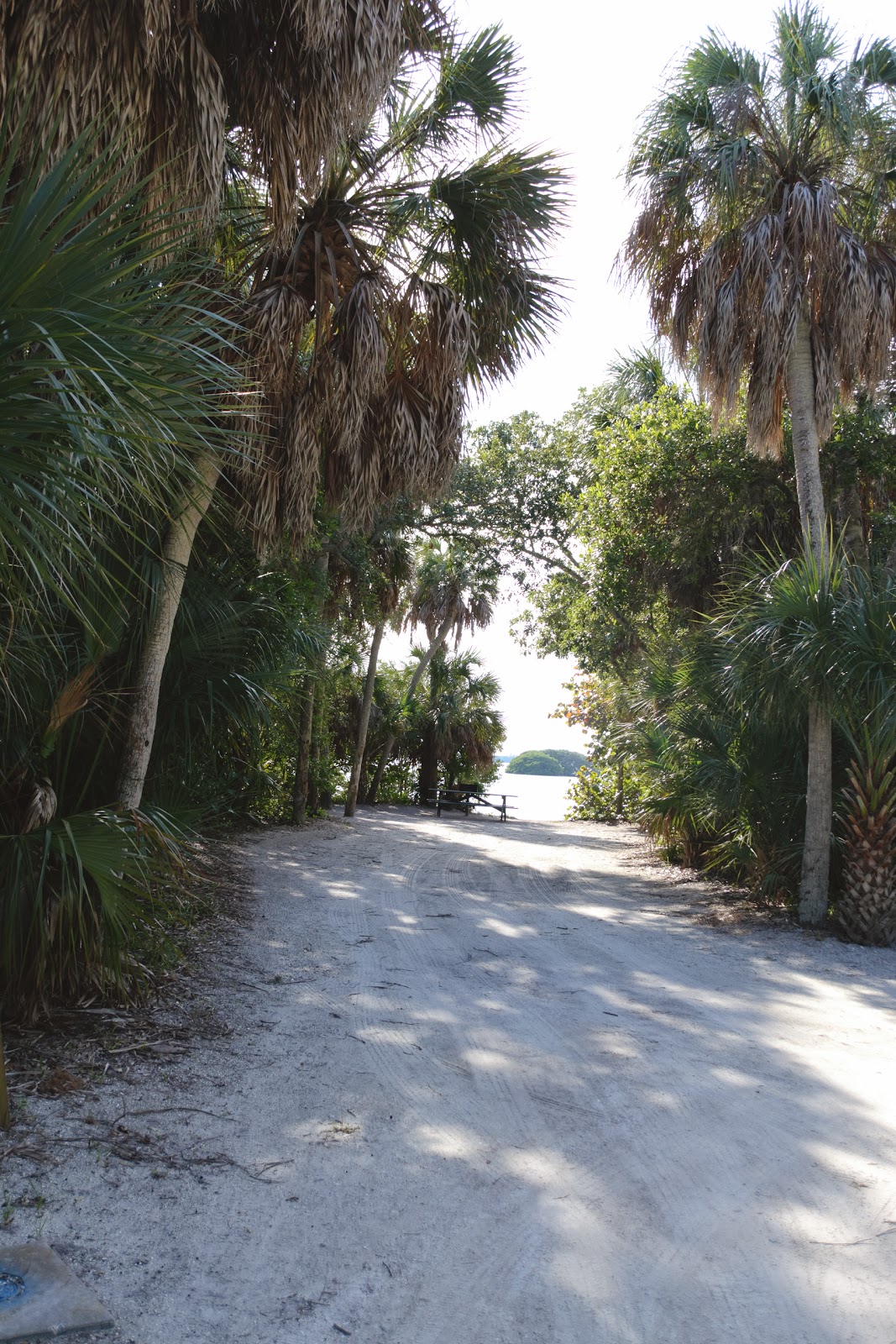 No Bad Days RVing Fort DeSoto Campground