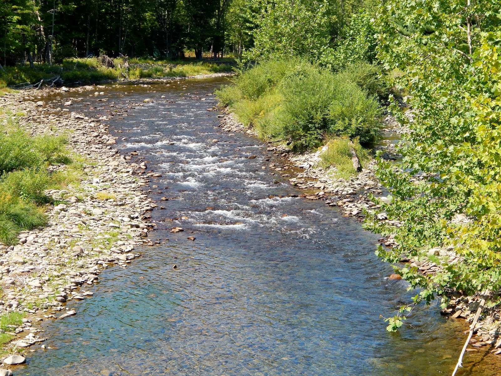 Small Stream Reflections From The Neversink.........