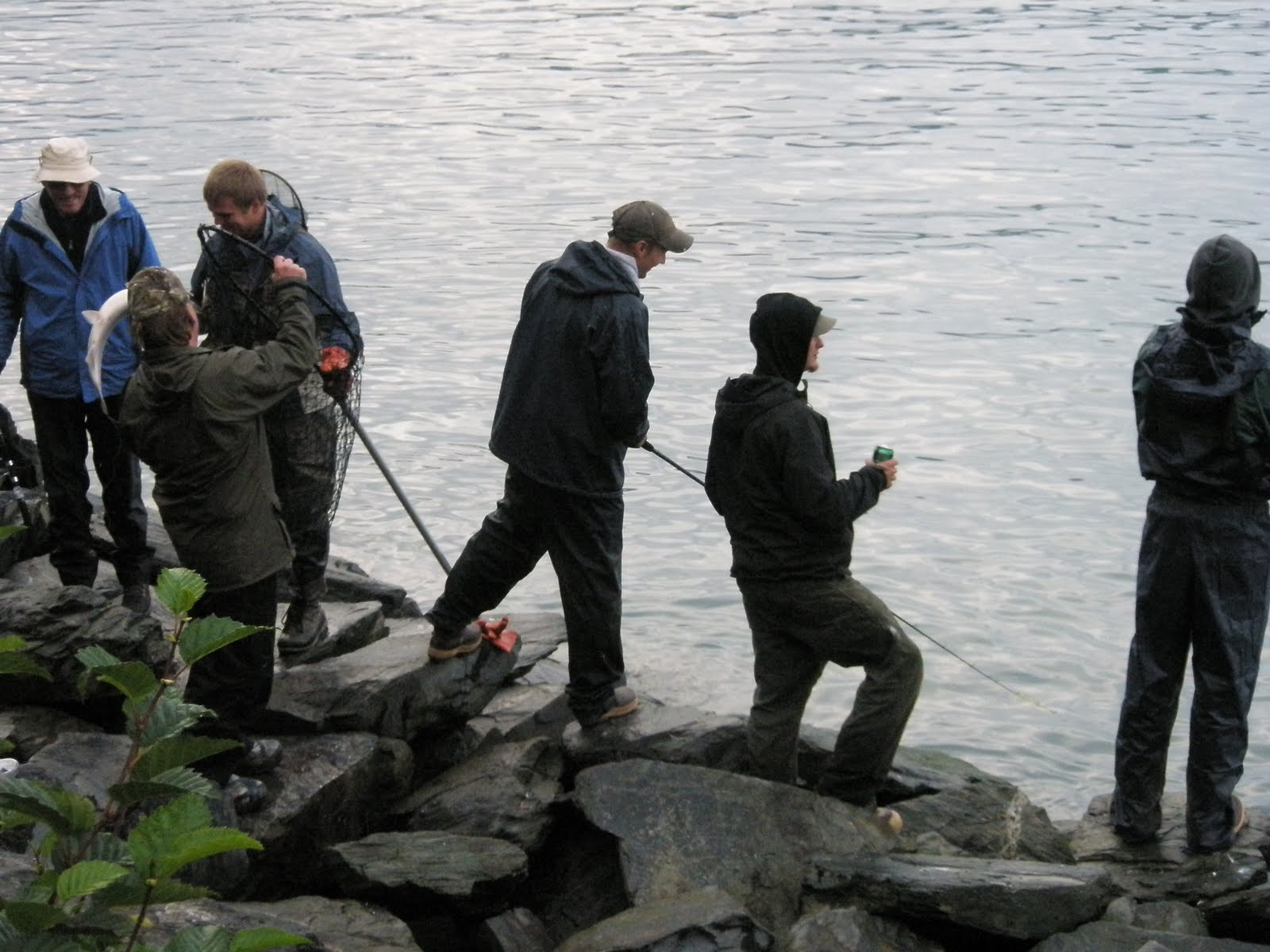 Pete Torola's Homeless Page pics from valdez, alaska; at the fish hatchery