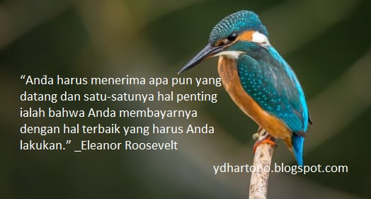 Dalam Menjalani Kehidupan Ada Kalanya Kita Terjatuh Orang Orang Yang Sukses Selalu Dapat Bangkit Untuk Bangkit Kita Harus Belajar Dan Menyikapi Masalah Dalam Menjalani Kehidupan Ada Kalanya Kita Terjatuh Orang Orang Yang Sukses Selalu Dapat Bangkit Untuk Bangkit Kita Harus Belajar Dan Menyikapi Masalah