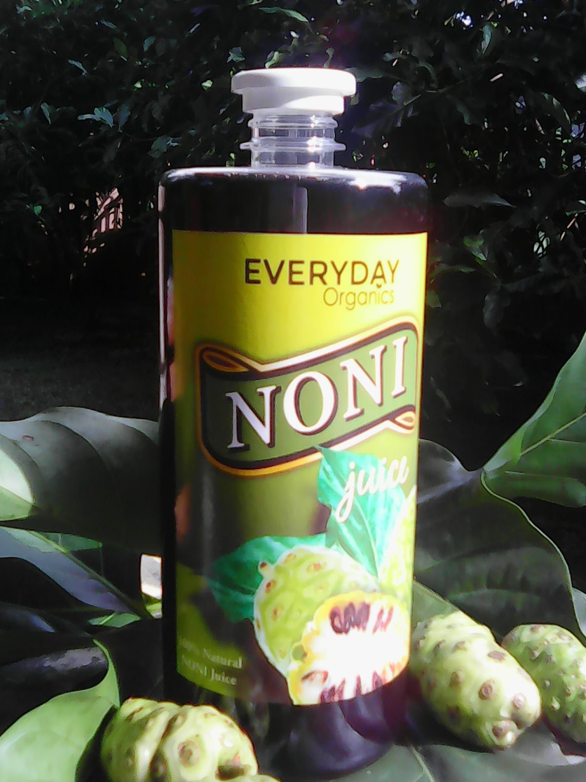 everyday organics global corp.