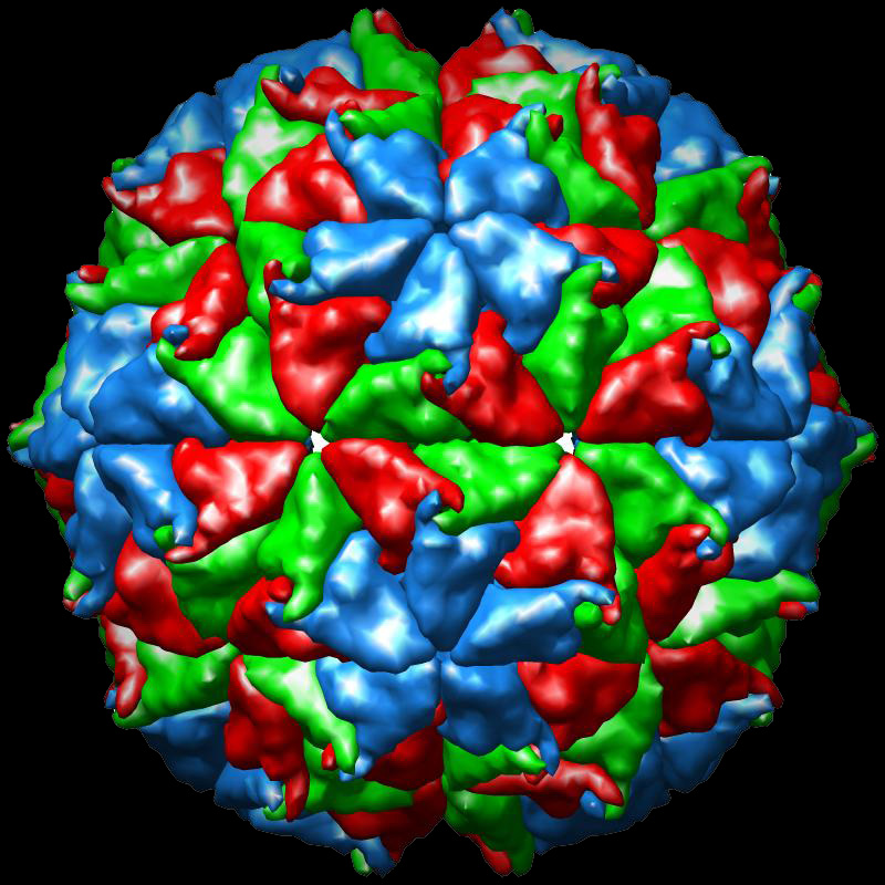 world wallpaper Biology wallpapers world wallpaper Biology wallpapers