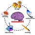 Mind Set : Inti Dari Self Learning