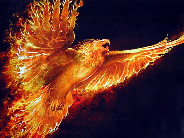  teresita blanco phoenix 