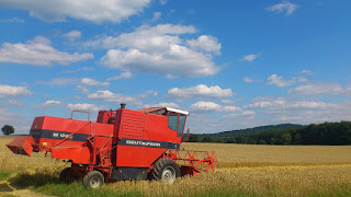 Image: Wheat Field, by Heike Georg on Pixabay