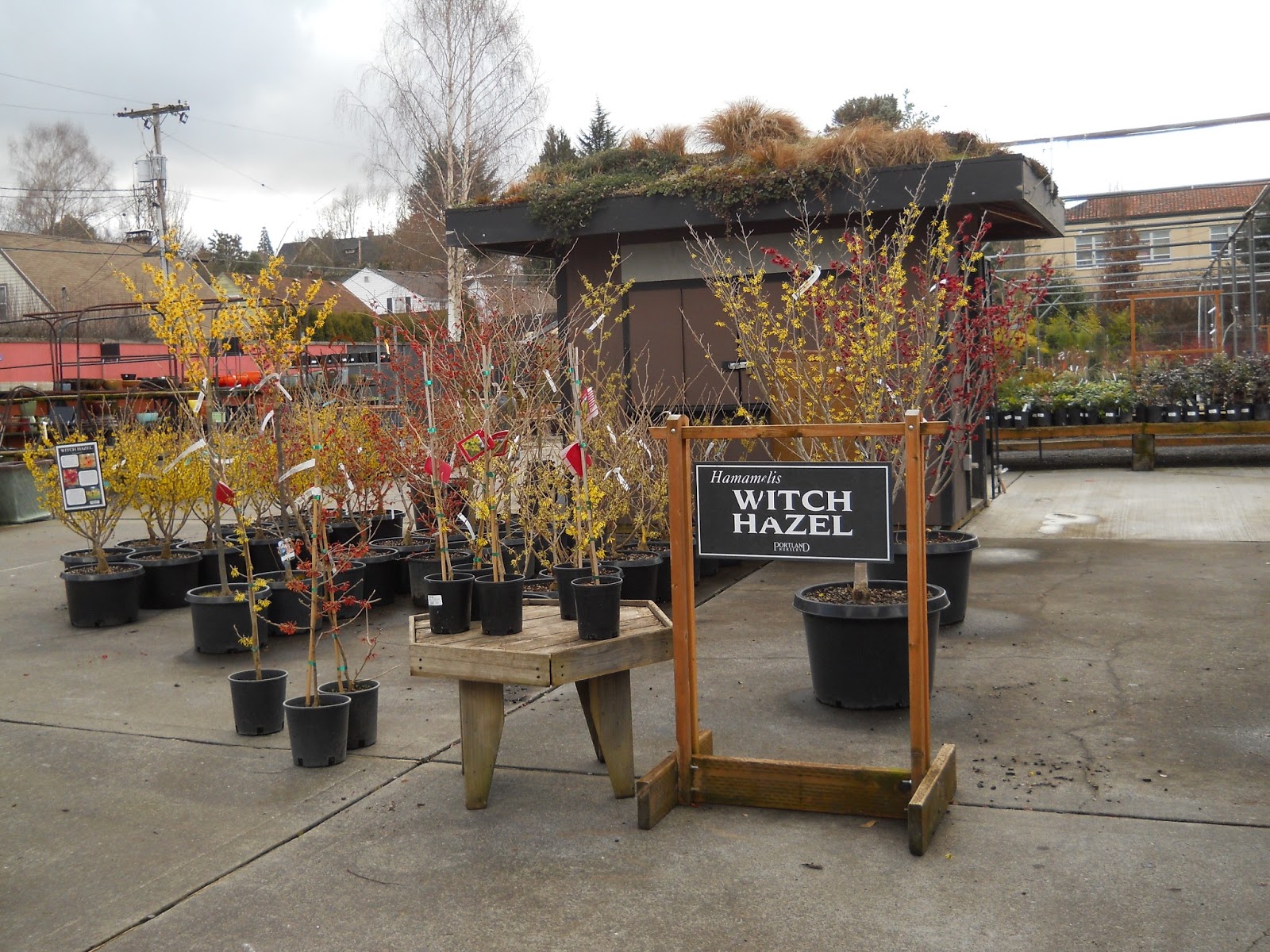 Spit & Vinegar Portland Nursery