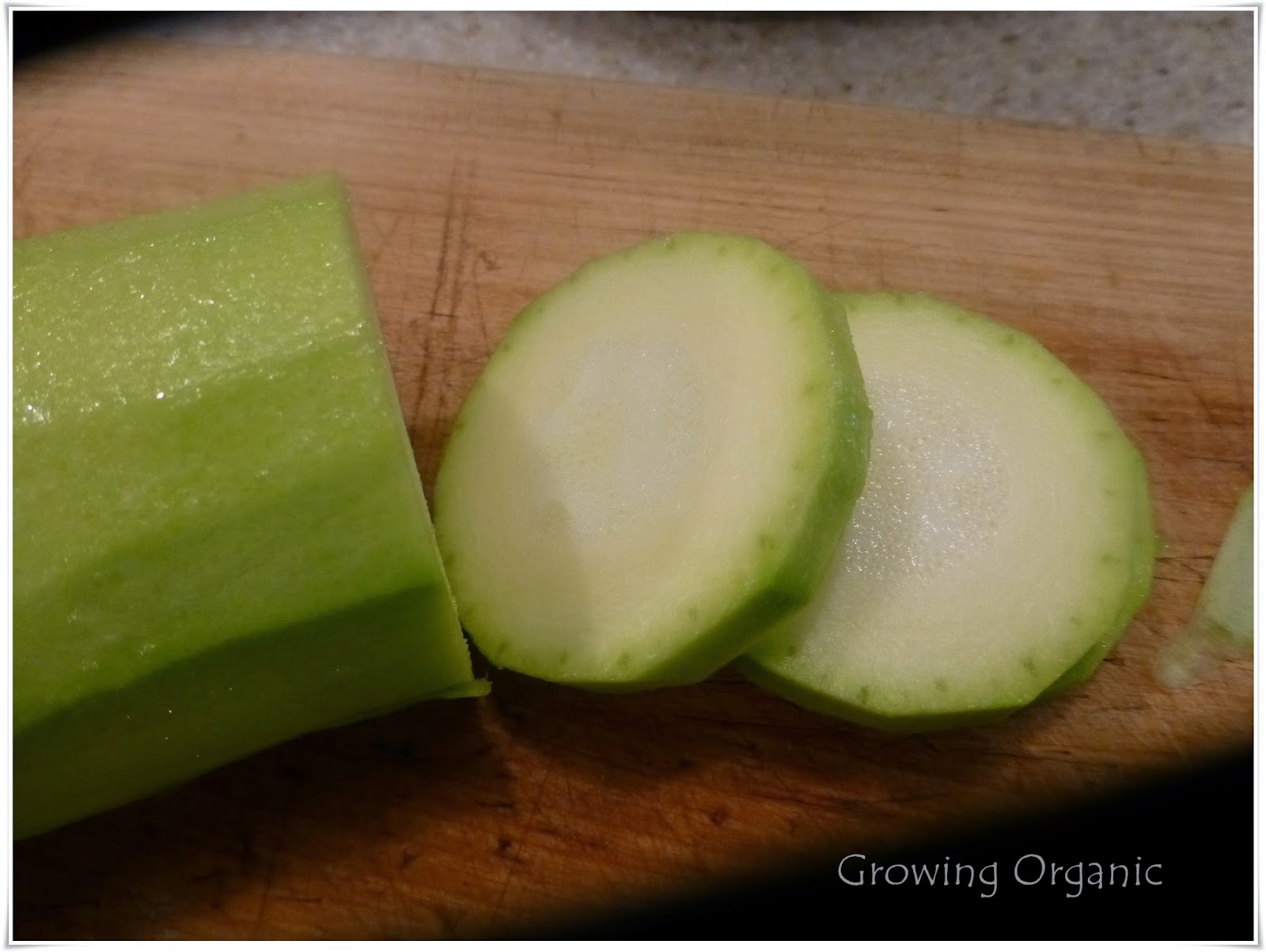 Growing Organic Canned Pineapple Zucchini