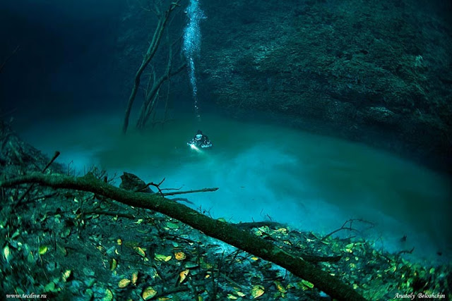 Río oculto bajo el agua fluye debajo del océano México