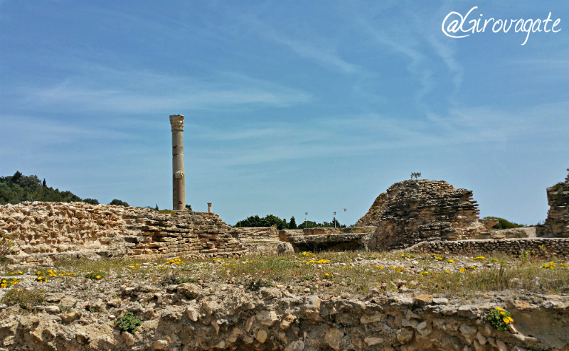 cartagine tunisia