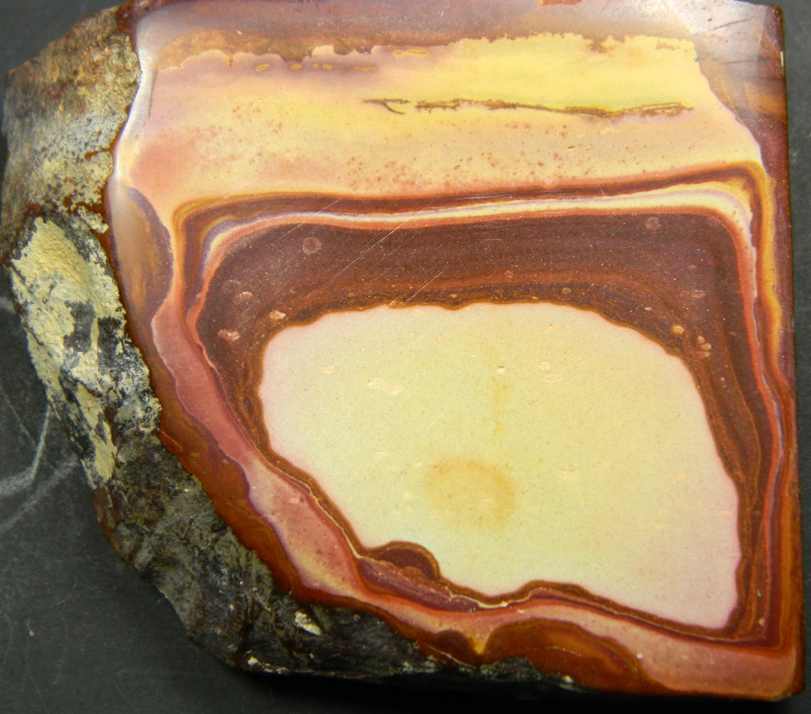 CSMS GEOLOGY POST: COLLECTING STRIPED ROCKS IN UTAH