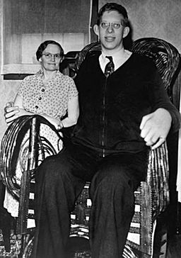 world s biggest and smallest things the tallest man who ever lived