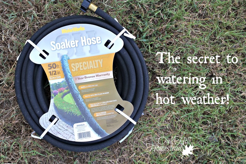 The Easy Way to Water the Garden Oak Hill Homestead