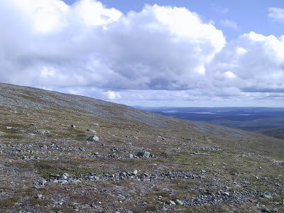 Neue Zurcher Zeitung 2017 06 19